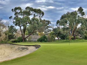 Peninsula Kingswood (North) 10th Green Edge